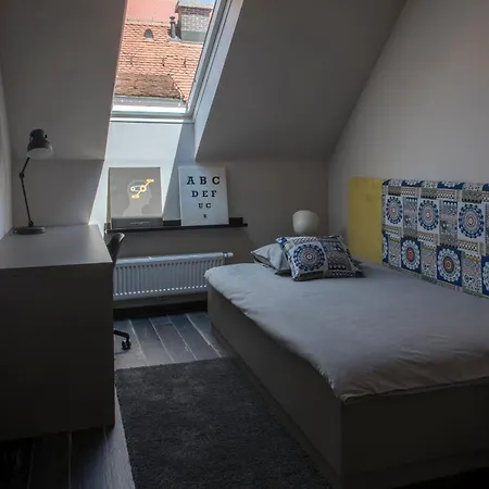 Appartement Above The Old Vine App Lent With River View *